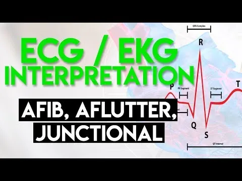 Afib Aflutter Junctional Arrhythmias ECG EKG Interpretation (Part 4)