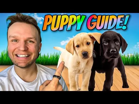 Puppy TRAINING - The FIRST 5 Things To Teach Any Puppy!