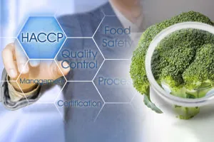 HACCP Food Safety System for Restaurants and Other Catering Services