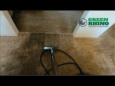 Carpet Cleaning Entrepreneurs Watch and learn ! Cleaning and Advice
