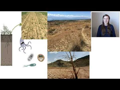 Soil Science Crash Course