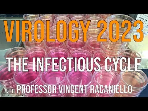 Virology Lectures 2023 #2: The Infectious Cycle