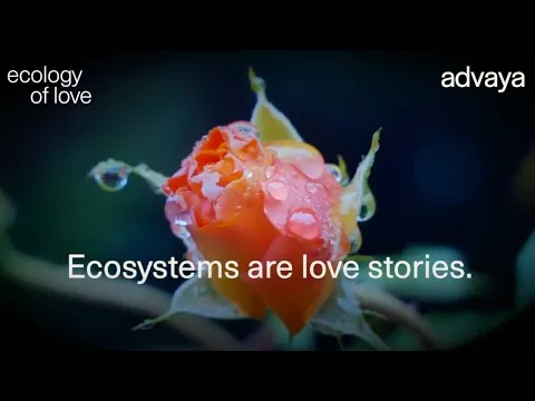 Ecology of Love with Dr Andreas Weber: An Online Course
