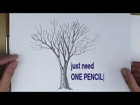 Drawing Course #1 How to Draw a Tree with Just ONE Pencil