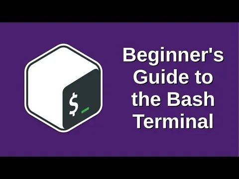 Beginners Guide to the Bash Terminal