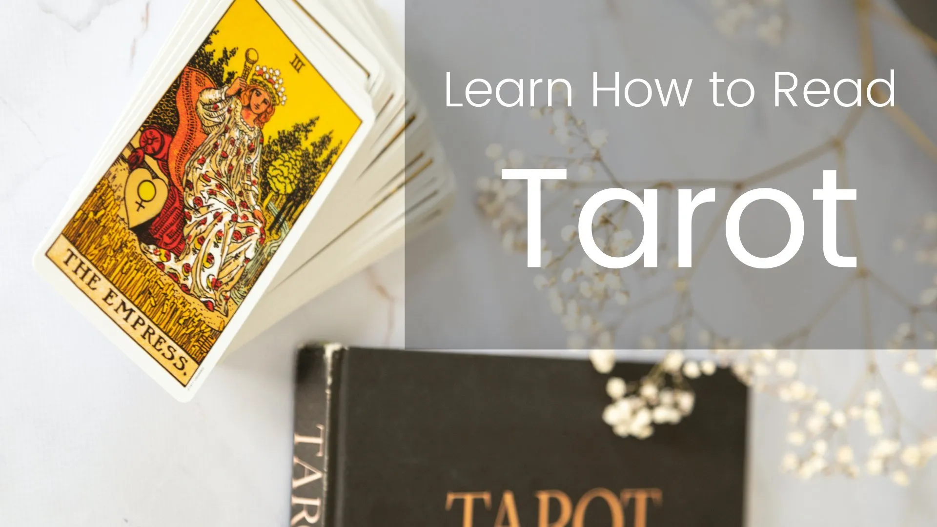 Learn How to Read Tarot