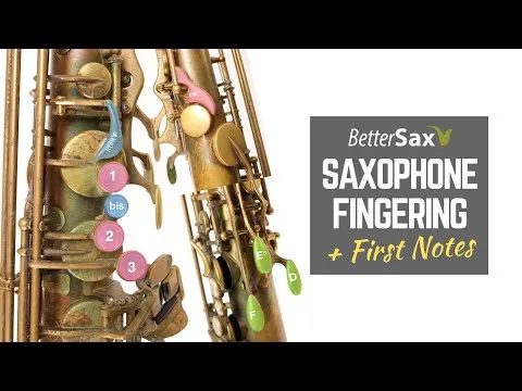 Beginner Saxophone Lesson 4 - Fingering and First Notes