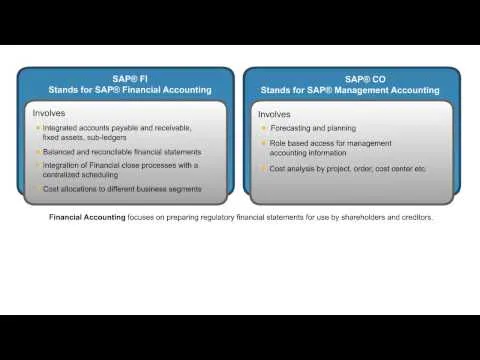 Introduction to SAP FI&CO Consultant Training SAP Financial Accounting FI Training Online SAP Videos