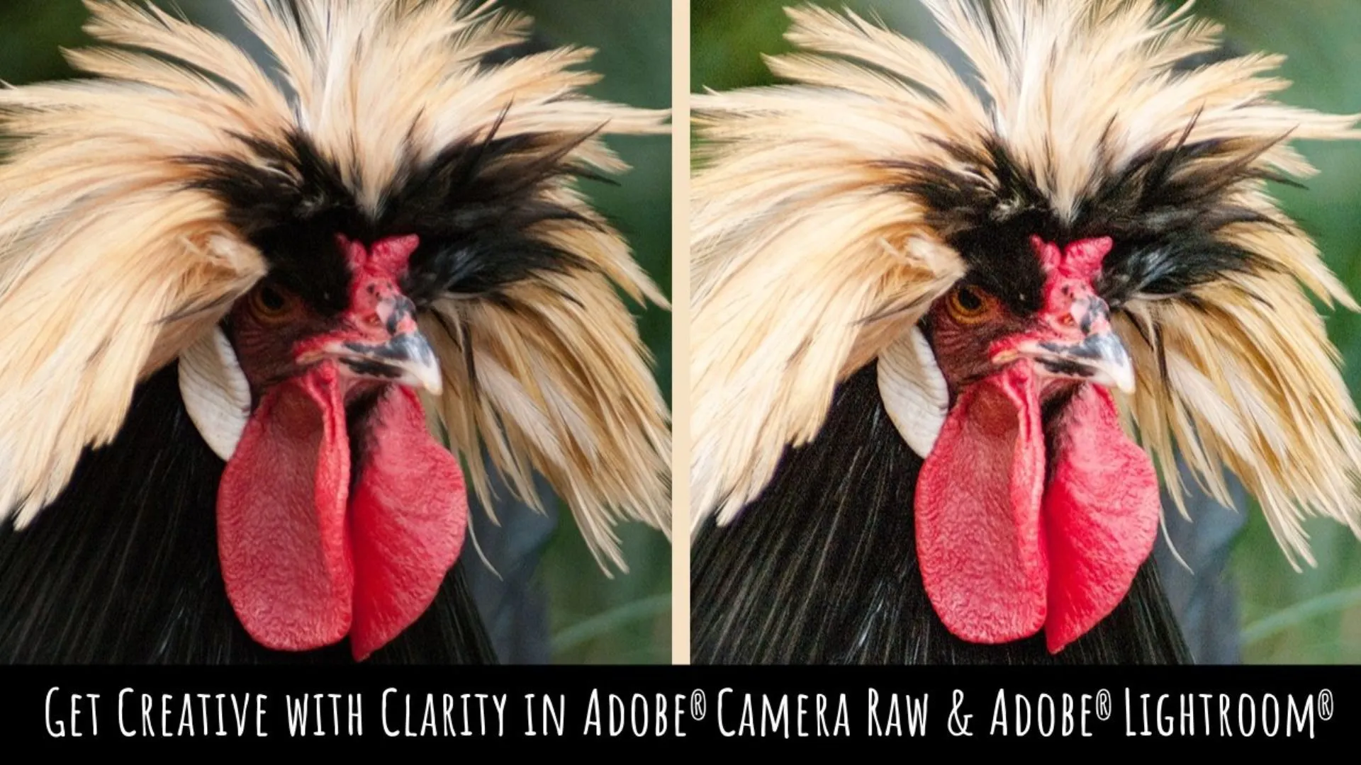 Get Creative with Clarity in Adobe Lightroom & ACR - A Graphic Design for Lunch Class