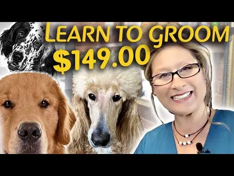 Simple online dog grooming course for pet owners and beginners