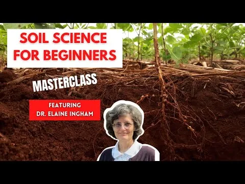 How to Build Great Soil - A Soil Science Masterclass with Dr Elaine Ingham (Part 1 of 4)