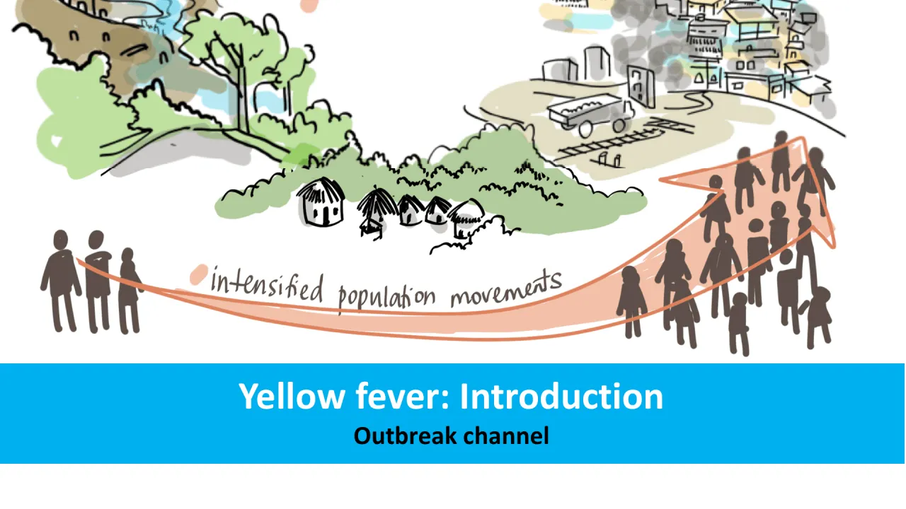 Yellow fever: Introduction (English&Kanuri)