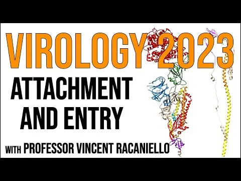 Virology Lectures 2023 #5: Attachment and Entry