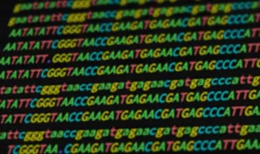 Case Studies in Functional Genomics