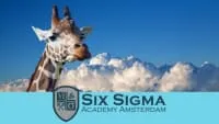 Free Lean Six Sigma Introduction Course