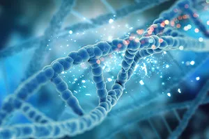 Introduction to DNA and Genealogy