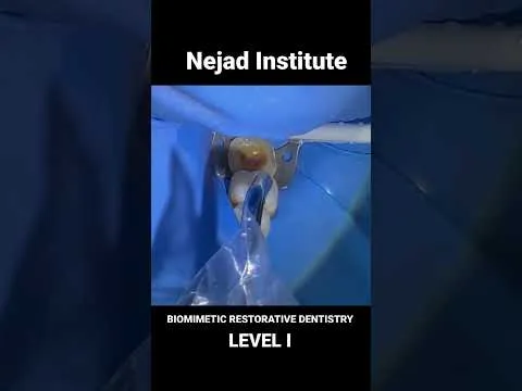 Biomimetic Dentistry - Level I Course Nejad Institute