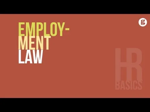 HR Basics: Employment Law