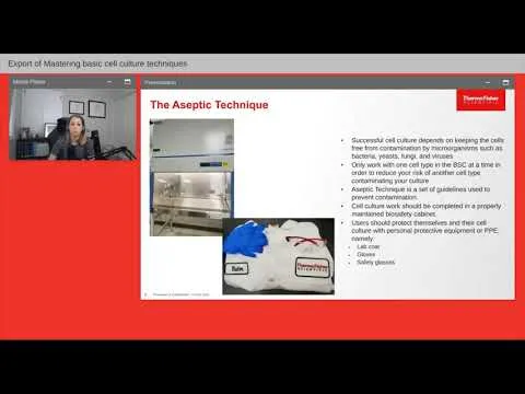 Mastering basic cell culture techniques