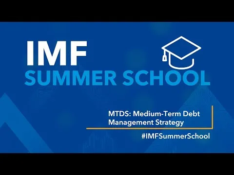 IMF SUMMER SCHOOL: Medium-Term Debt Management Strategy (MTDSx)