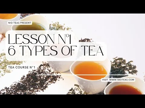 6 Different Types of Tea - Tea Course #1