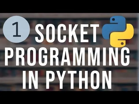 Python Socket Programming Tutorial 1 - Basics of Networking