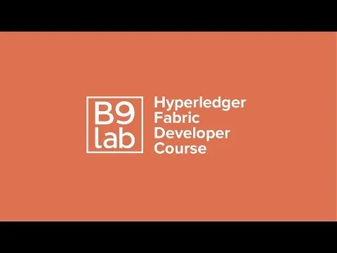 Learn Hyperledger: B9lab Hyperledger Fabric Developer Course Teaser