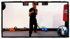 Jeet Kune Do Level 1 - Fighting Stances