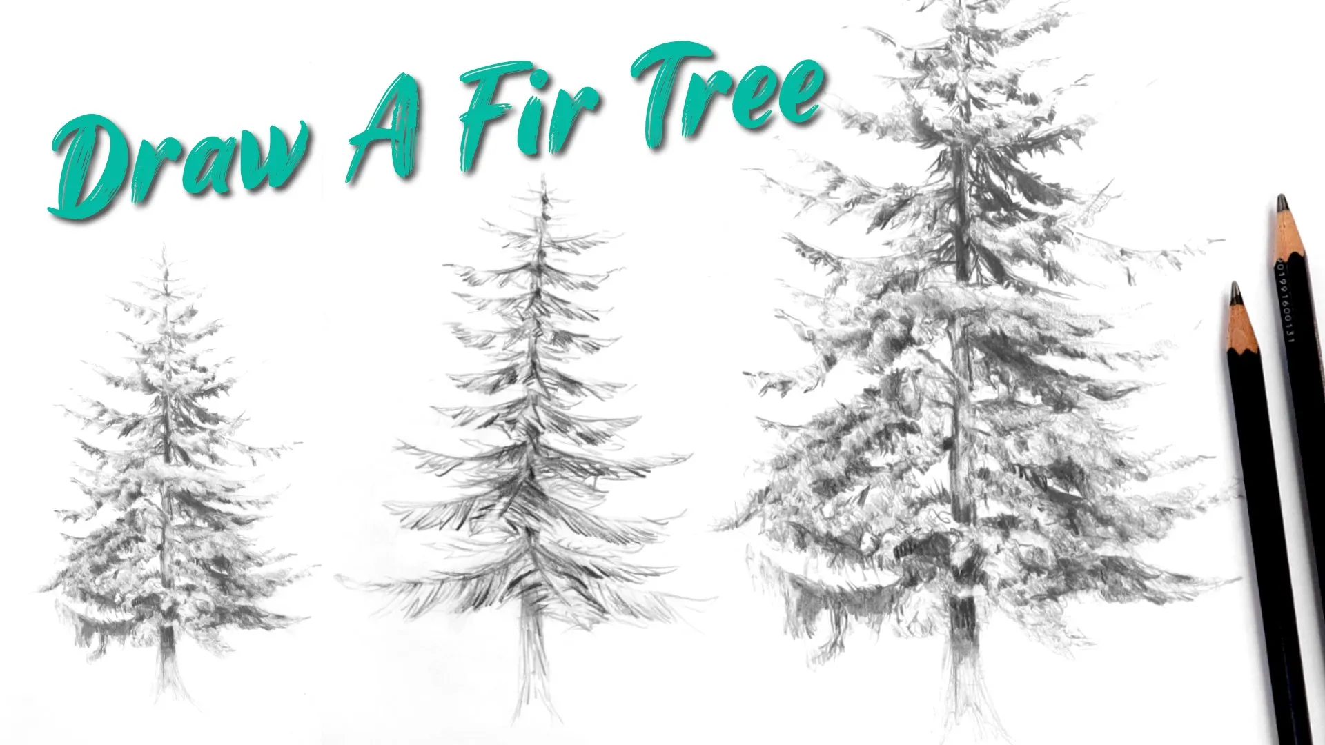 Drawing Fir Trees With Pencil: From Easy To Realistic