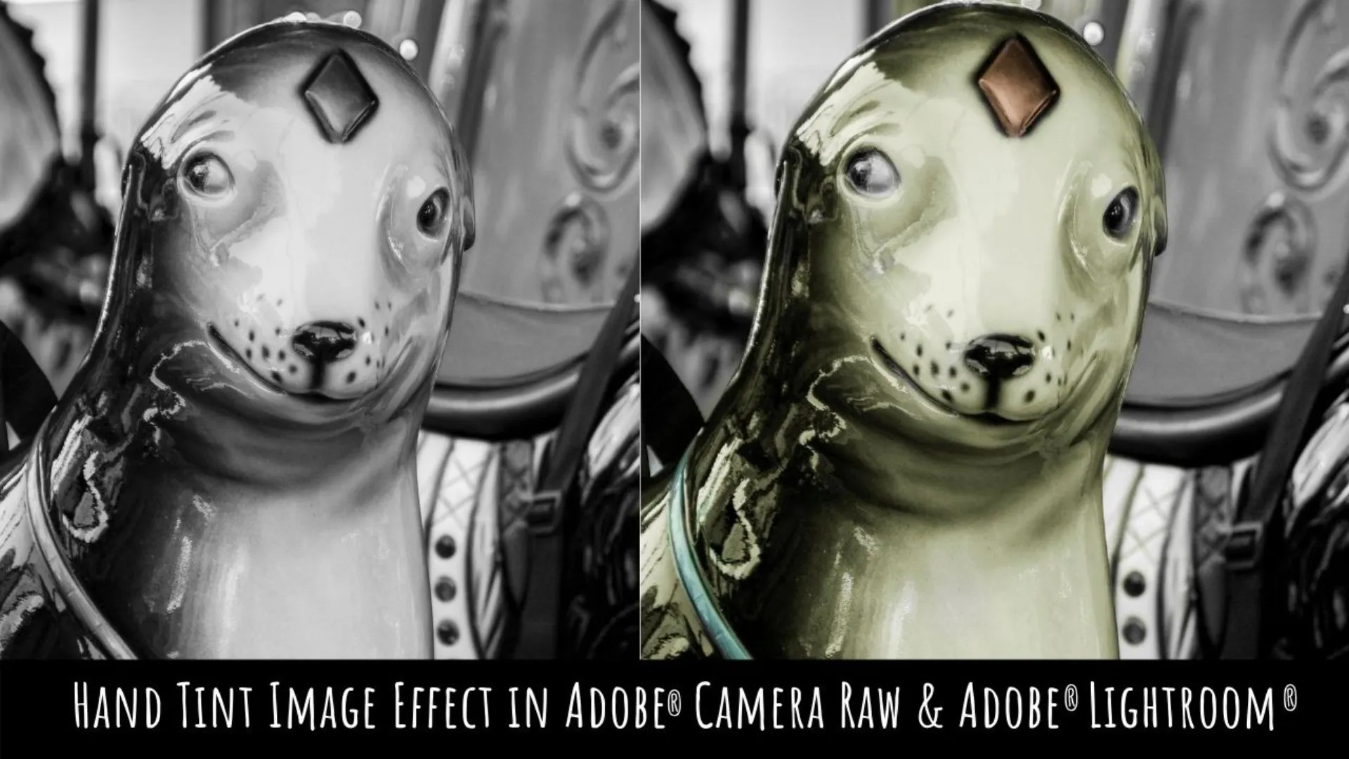 Hand Tint Image Effect in Adobe Lightroom & ACR - A Graphic Design for Lunch Class