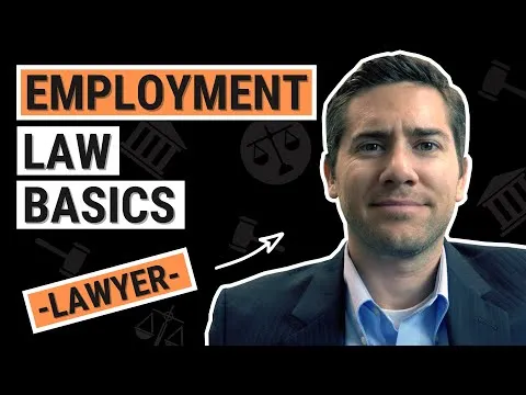 Employment Law for Business Owners Managers & HR - Avoid Getting Sued