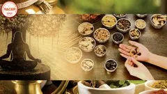Essentials Of Ayurveda: A Holistic Course On Food Science 24