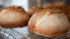 How to Bake Real Artisan Bread