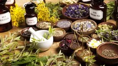 HERBALISM :: Training Course Based On WHO Guidelines