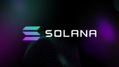 Solana Blockchain Developer Bootcamp with Rust + JavaScript