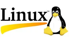 Linux Essentials Skill Test