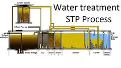 Learn water treatment in STP