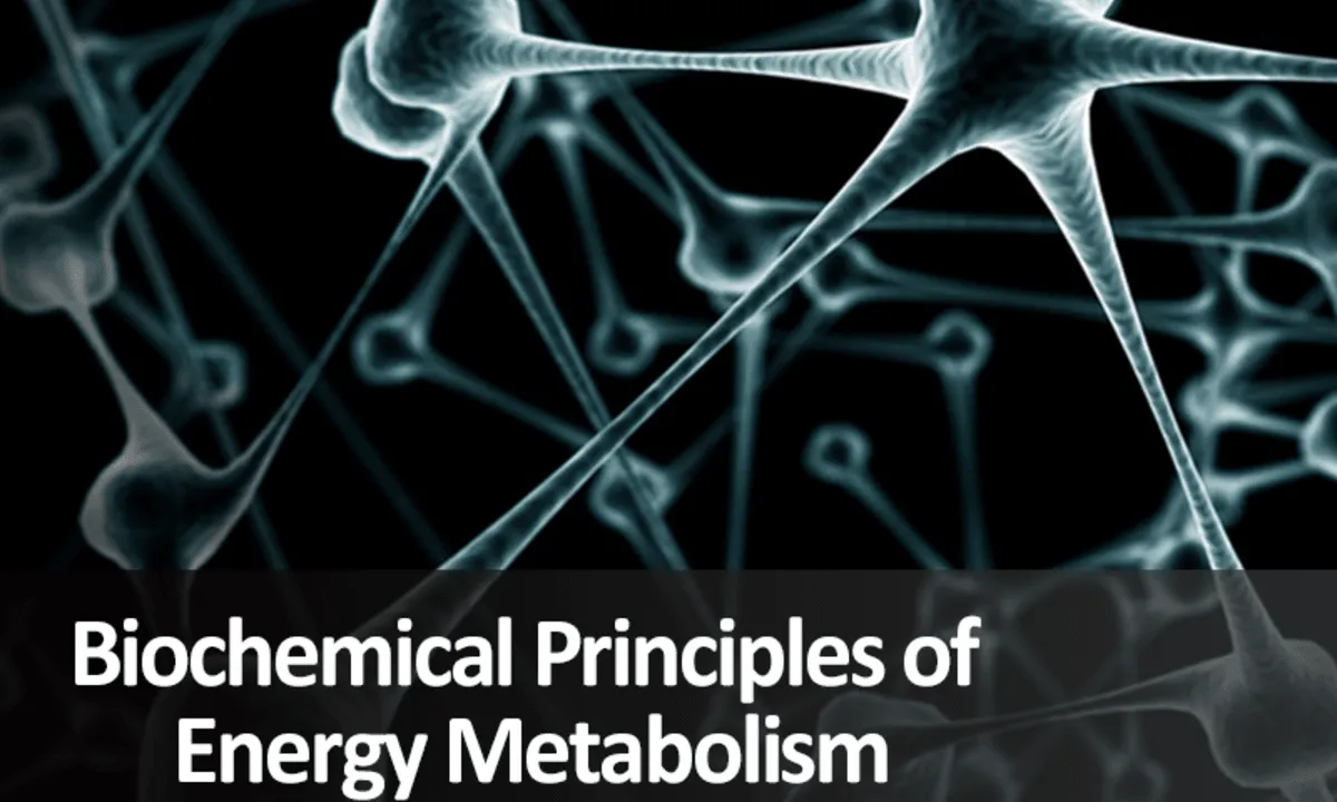 Biochemical Principles of Energy Metabolism