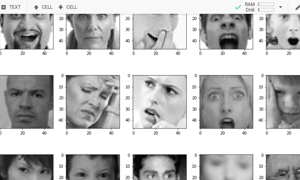 Facial Expression Recognition with Keras