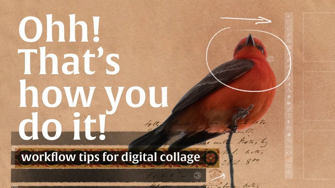 Collage: Oh! Thats how you do it Workflow tips and tricks for digital collage illustrations