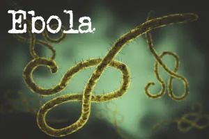 Understanding the Ebola Virus