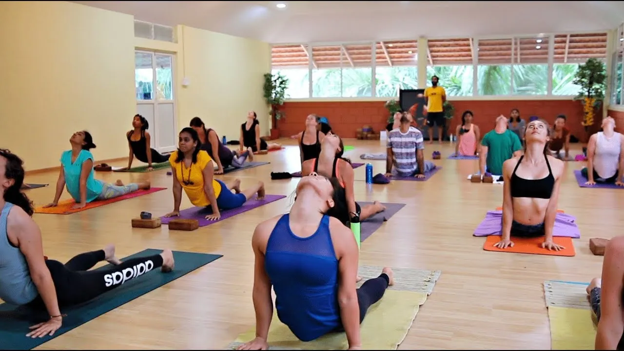 Ashtanga Yoga Primary Series Full Class with Yogacharya Arvind at Samyak Yoga Mysore