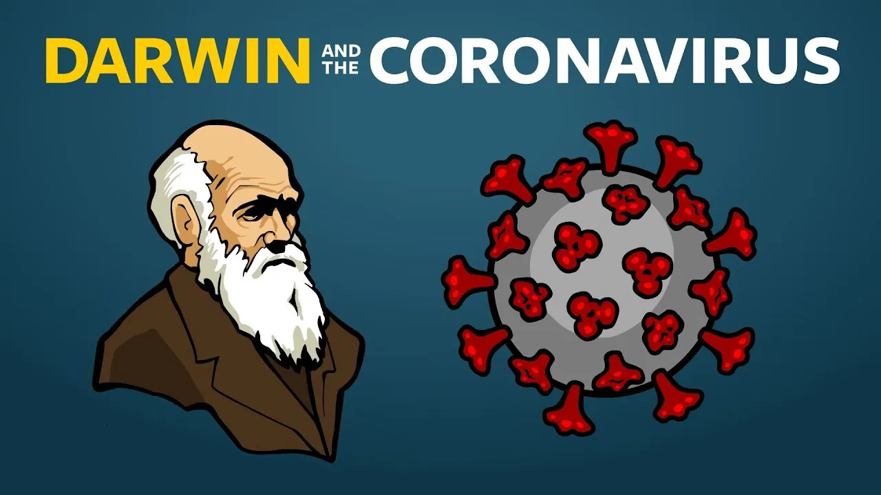 Evolution of Coronavirus Where Do New Viruses Come From?