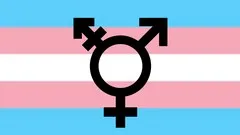 A Beginners Guide to Trans 101