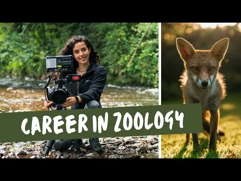 HOW TO GET INTO WILDLIFE CONSERVATION Zoology degree volunteering working with animals