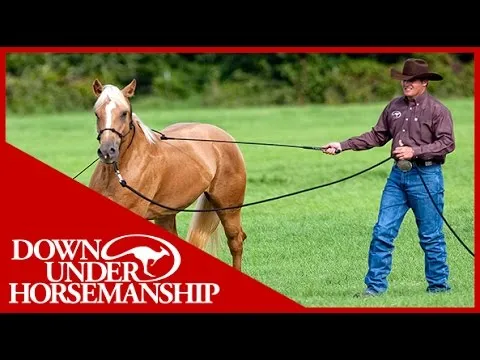 Clinton Anderson: Training a Rescue Horse Part 1 - Downunder Horsemanship
