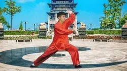 Tai Chi Qi Gong Moves for Beginners - For Energy Arthritis