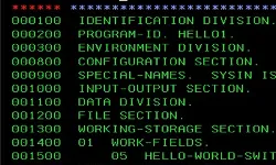 IBM COBOL Data and File Management