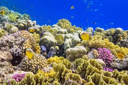 IUCN& Red List of Ecosystems - Course - FutureLearn