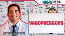 Vasopressors: Inodilators Inopressors Pure Vasopressors Methylene Blue Midodrine